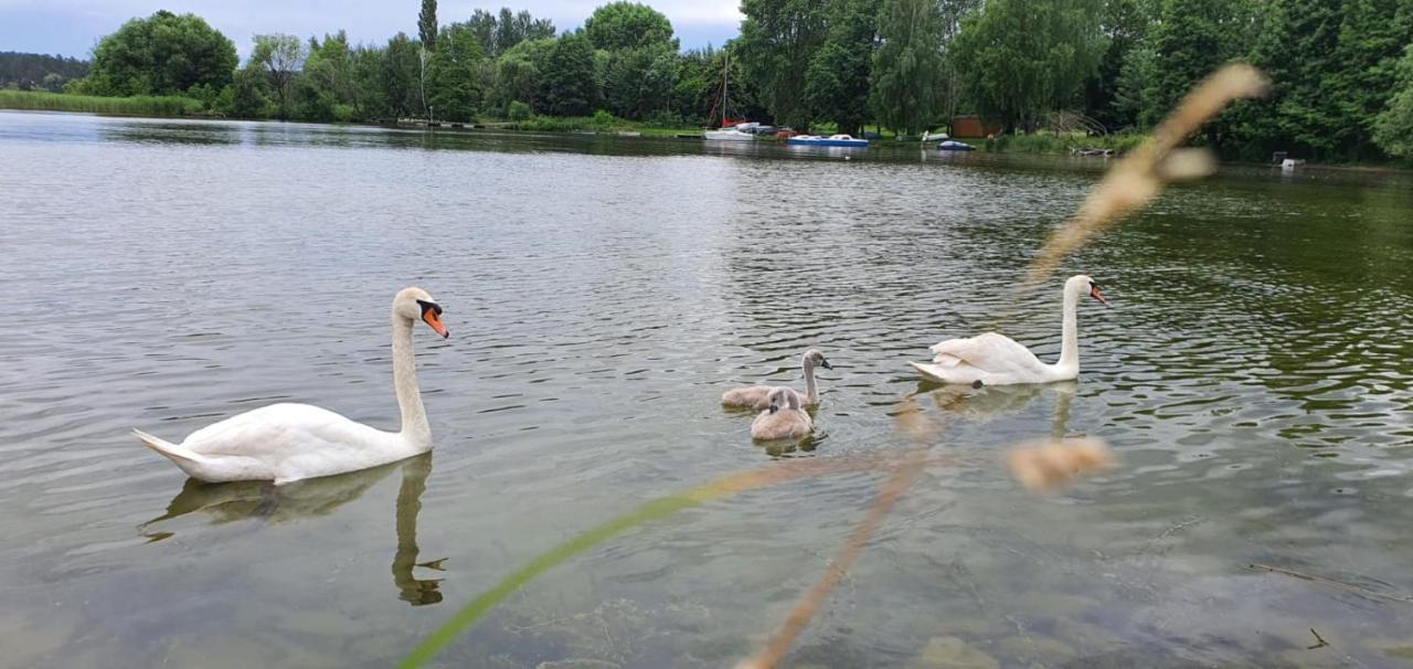 Apartament Вилкасы Экстерьер фото